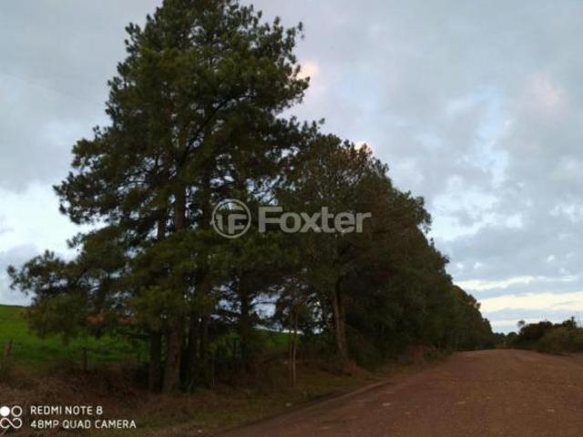 Sítio e chácara venda em São Francisco de Paula