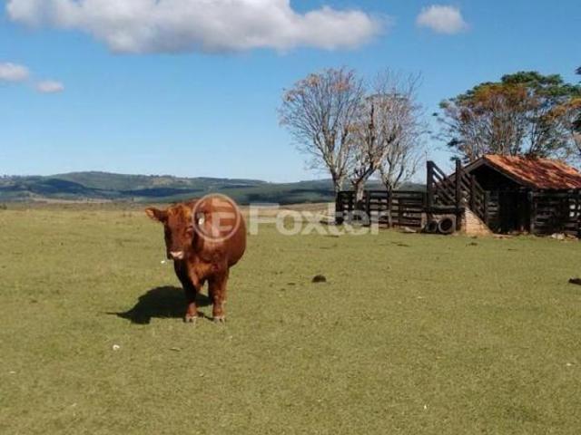 Sítio e chácara venda em Região Geográfica Imediata de Porto Alegre, Região Metropolitana de Porto Alegre