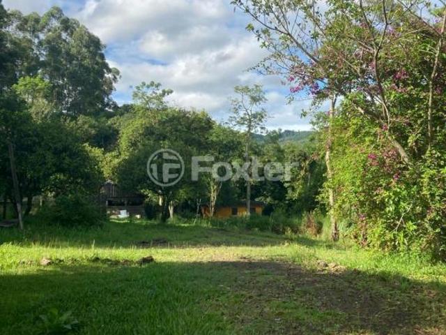 Sítio e chácara venda em Região Geográfica Imediata de Caxias do Sul, Picada Café