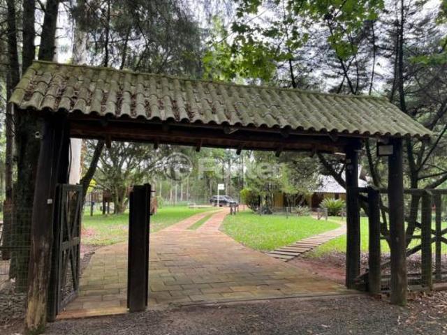 Sítio e chácara venda em Região Geográfica Imediata de Montenegro, Região Metropolitana de Porto Alegre