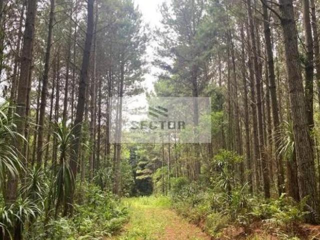 Terreno venda em Região Geográfica Imediata de Curitiba, Região Metropolitana de Curitiba