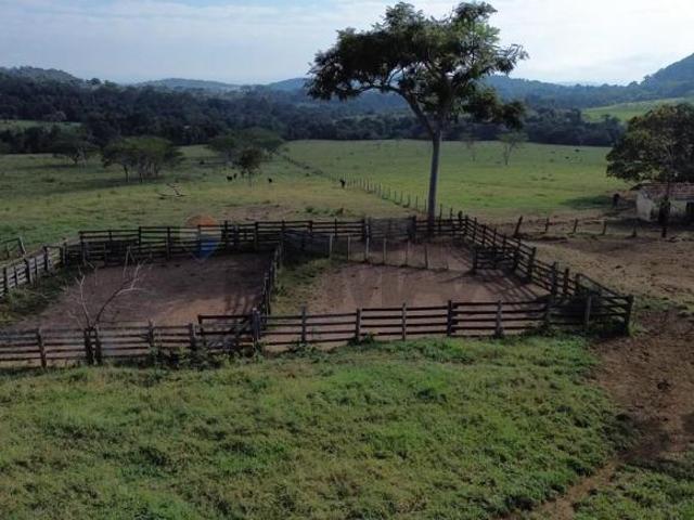 Sítio e chácara venda em Peixotos, Cássia