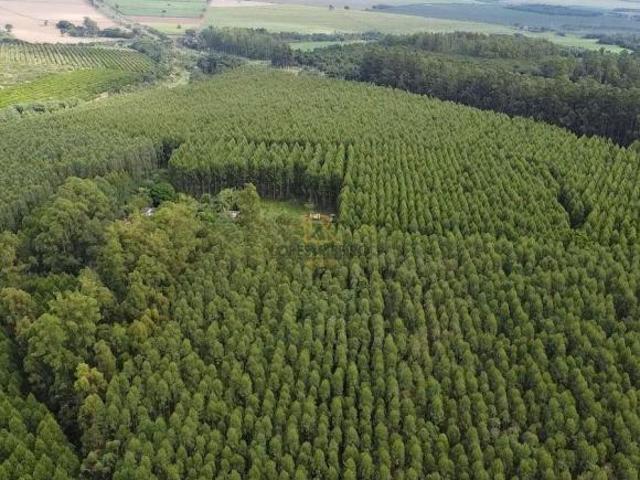 Sítio e chácara venda em Avaré