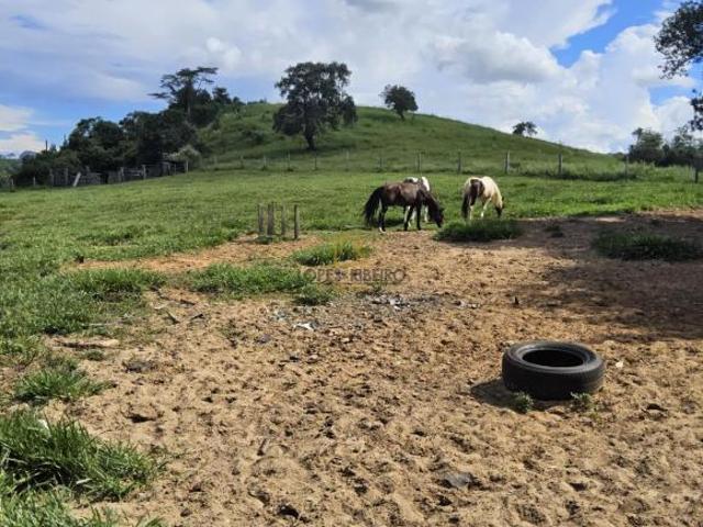 Sítio e chácara venda em Botucatu