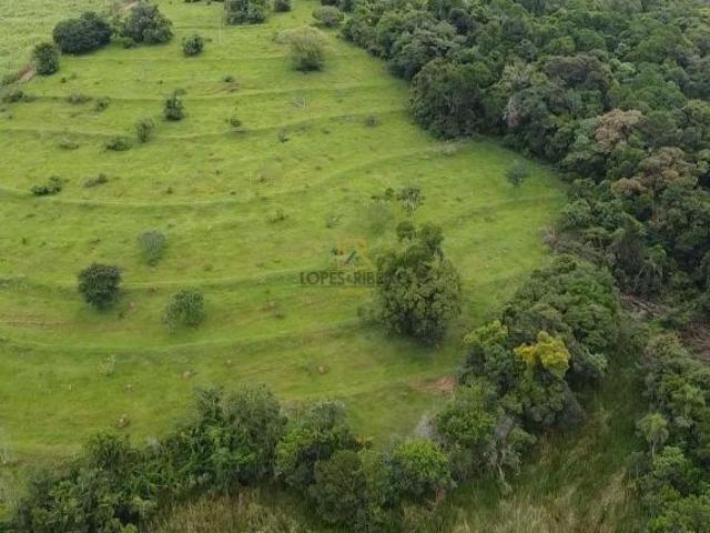 Sítio e chácara venda em Região Imediata de Botucatu, Pratânia