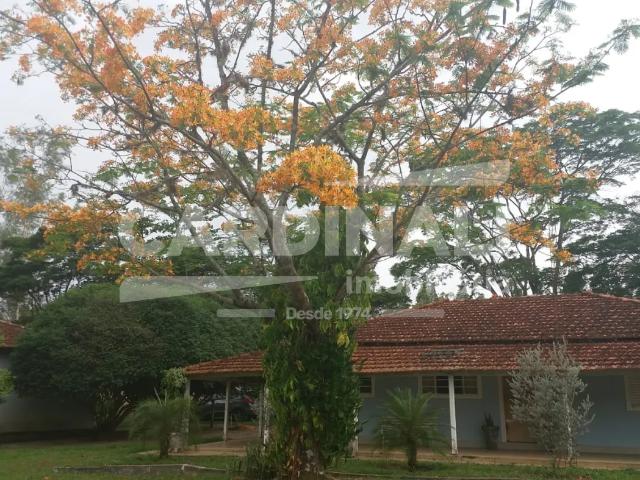 Sítio e chácara venda em Região Imediata de São Carlos, Ribeirão Bonito