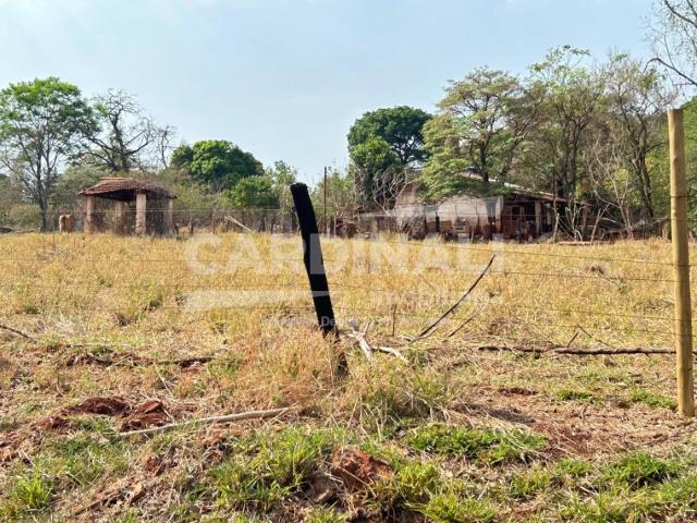 Sítio e chácara venda em Região Imediata de São Carlos, São Carlos
