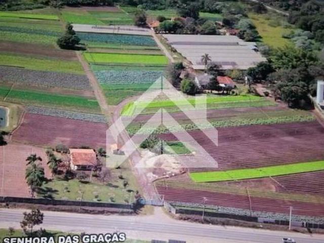 Sítio e chácara venda em Região Imediata de Rio Claro, Região Metropolitana de Piracicaba