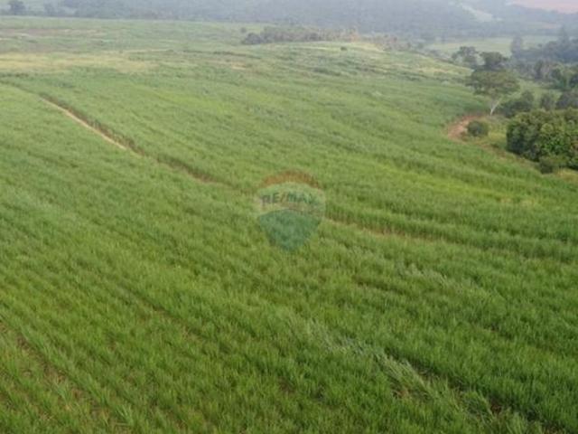 Sítio e chácara venda em Região Imediata de Ribeirão Preto, Região Metropolitana de Ribeirão Preto