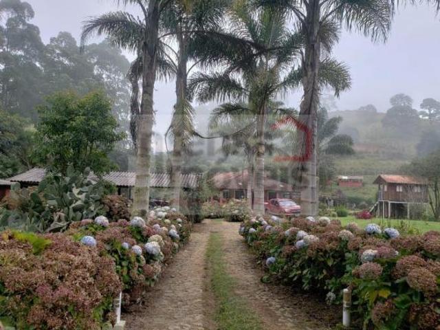 Sítio e chácara venda em Região Imediata de Guaratinguetá, Região Metropolitana do Vale do Paraíba e Litoral Norte