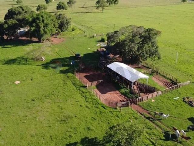Sítio e chácara venda em Região Geográfica Imediata de Três Lagoas, Brasilândia