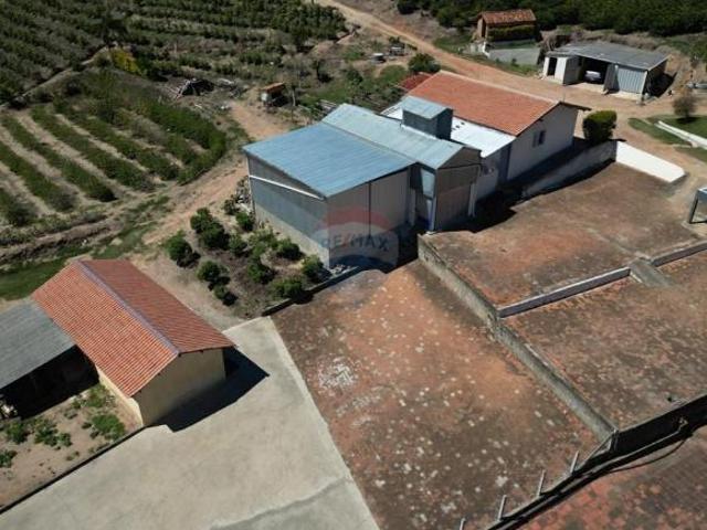 Sítio e chácara venda em Vila Itabaquara, Serra Negra