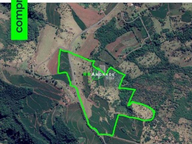 Sítio e chácara venda em Região Imediata de Franca, Pedregulho