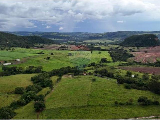 Sítio e chácara venda em Região Imediata de Barretos, Colina