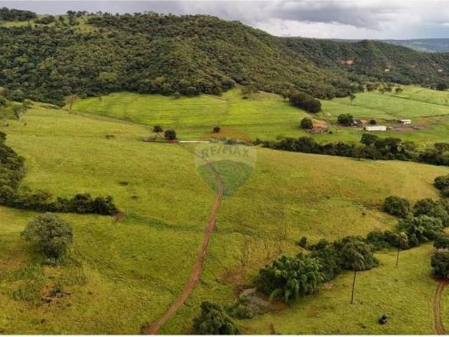 Sítio e chácara venda em Loteamento Polizelli, Colina