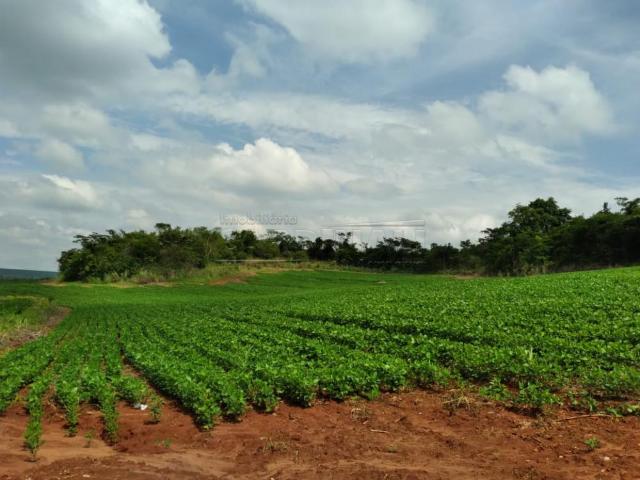 Sítio e chácara venda em Região Imediata de Araraquara, Gavião Peixoto