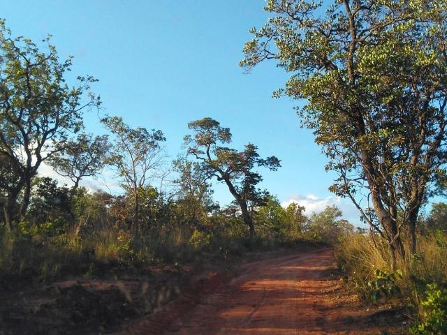 Sítio e chácara venda em Região Geográfica Imediata de Dianópolis, Ponte Alta do Bom Jesus