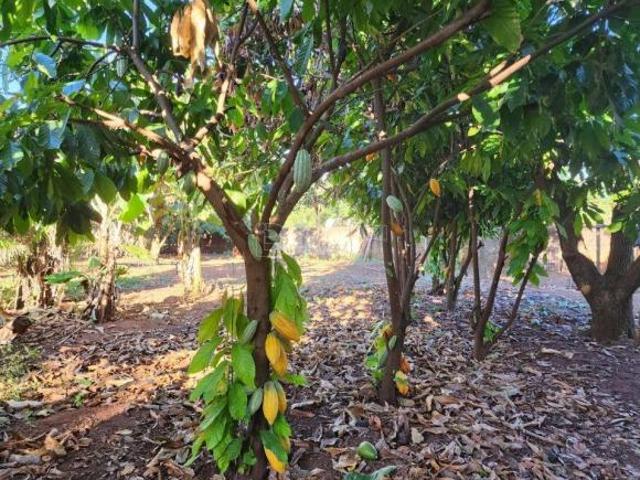 Sítio e chácara venda em Região Imediata de Araraquara, Araraquara