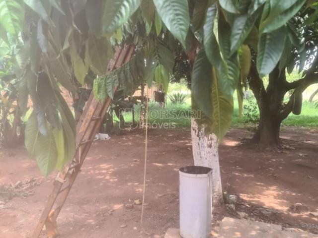 Sítio e chácara venda em Região Imediata de Araraquara, Araraquara
