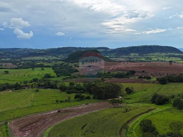 Sítio e chácara venda em Região Imediata de Barretos, Colina