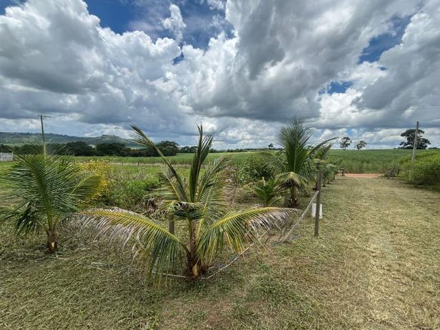 Sítio e chácara venda em Região Imediata de Ribeirão Preto, Região Metropolitana de Ribeirão Preto