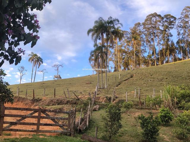 Sítio e chácara venda em Região Imediata de São Paulo, Região Metropolitana de São Paulo