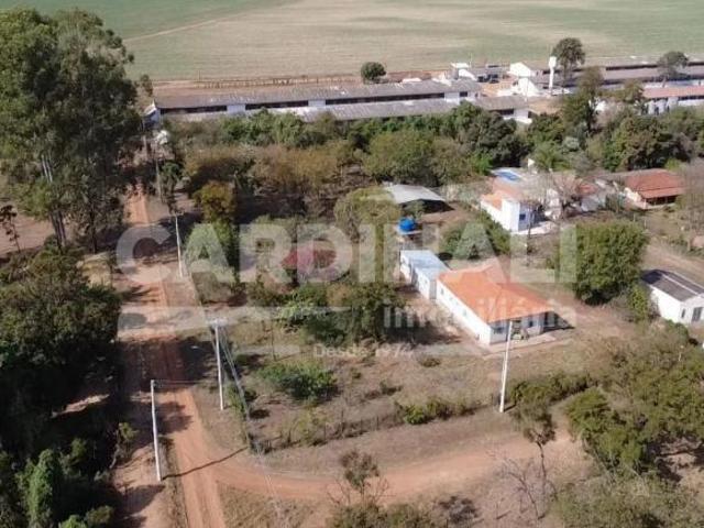 Sítio e chácara venda em Região Imediata de São Carlos, São Carlos