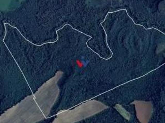 Sitio venda em Araucaria