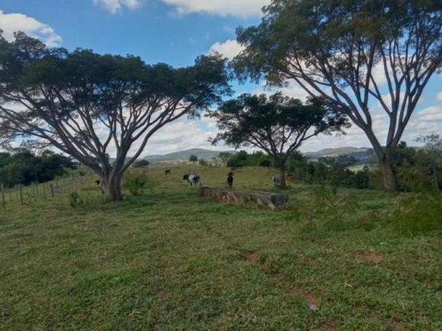 Sítio e chácara venda em Região Geográfica Imediata de Belo Horizonte, Região Metropolitana de Belo Horizonte