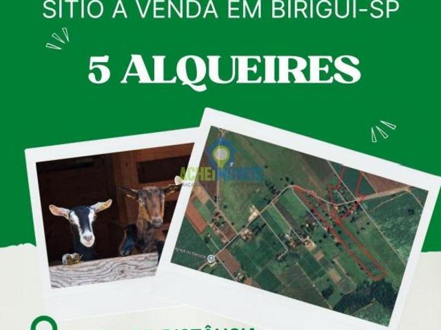 Sítio e chácara venda em Região Imediata de Birigui-Penápolis, Birigui