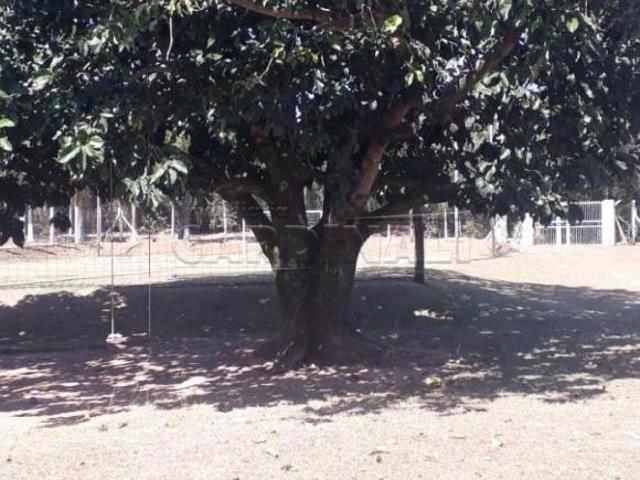 Sítio e chácara venda em Região Imediata de São Carlos, São Carlos