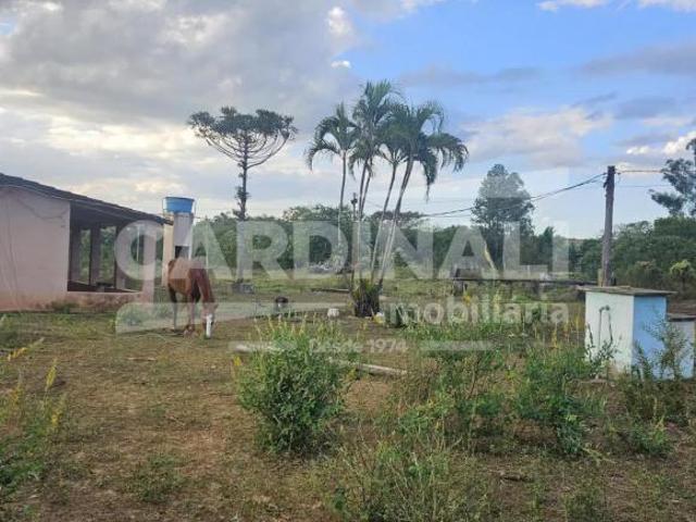 Sítio e chácara venda em Região Imediata de São Carlos, São Carlos