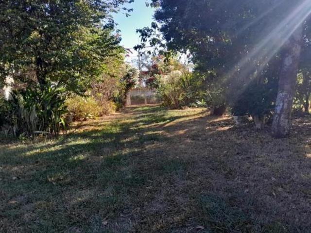 Sítio e chácara venda em Região Imediata de São Carlos, São Carlos
