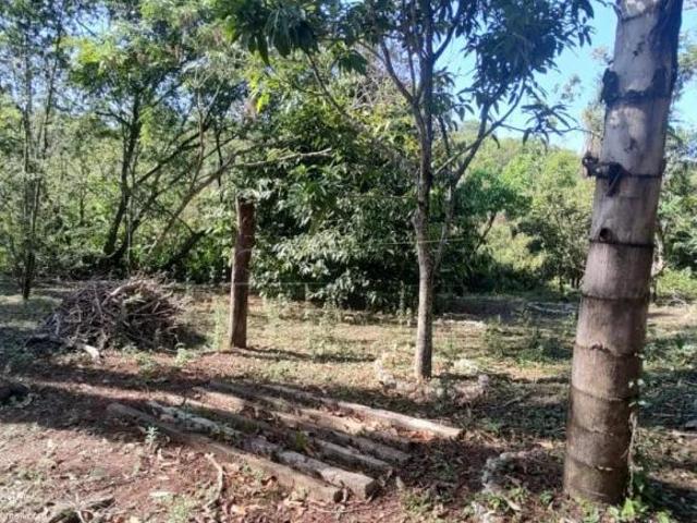 Sítio e chácara venda em Região Imediata de São Carlos, São Carlos