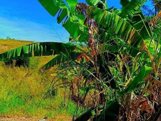 Sítio e chácara venda em Região Imediata de Campinas, Região Metropolitana de Campinas