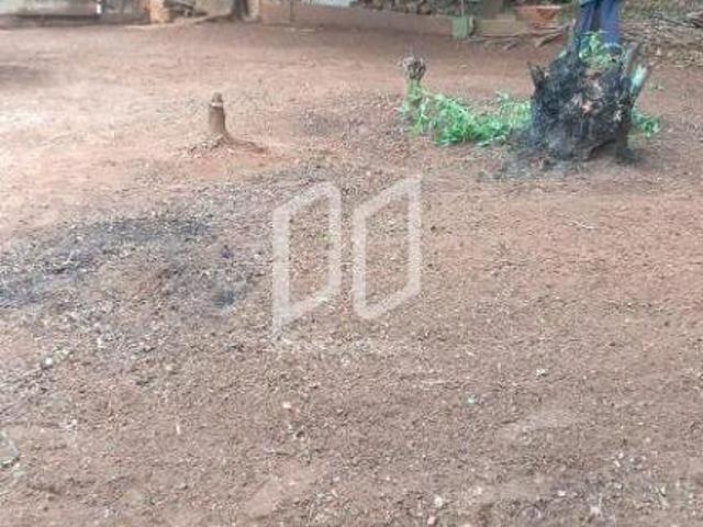 Sítio e chácara venda em Araraquara