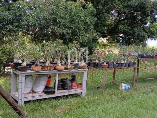 Sítio e chácara venda em Araraquara
