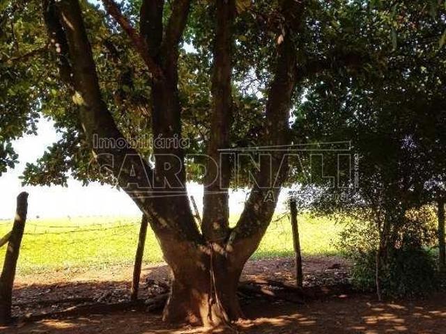 Sítio e chácara venda em Araraquara