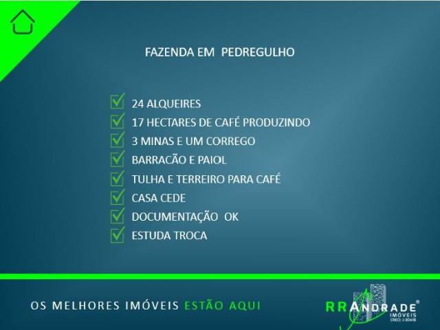 Sítio e chácara venda em Região Imediata de Franca, Pedregulho