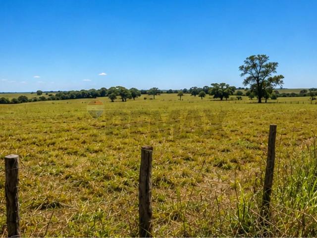 Sítio e chácara venda em Região Imediata de São José do Rio Preto, Região Metropolitana de São José do Rio Preto