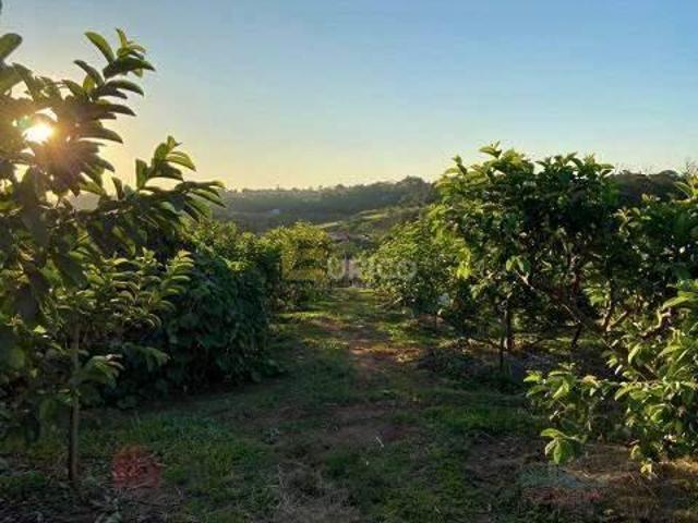 Sítio e chácara venda em Região Imediata de Campinas, Região Metropolitana de Campinas