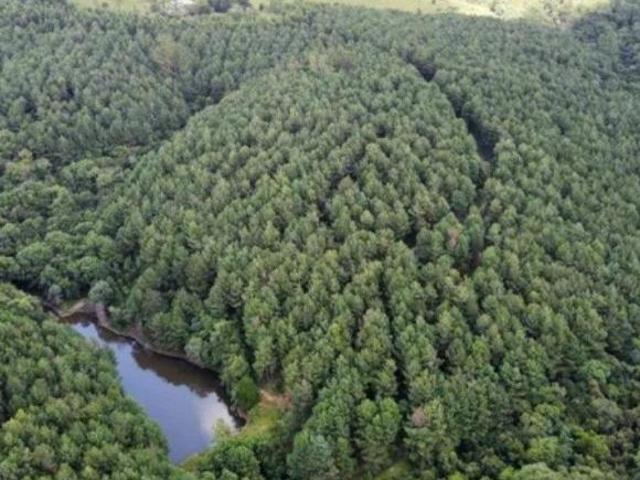 Sítio e chácara venda em Região Geográfica Imediata de Ponta Grossa, Arapoti