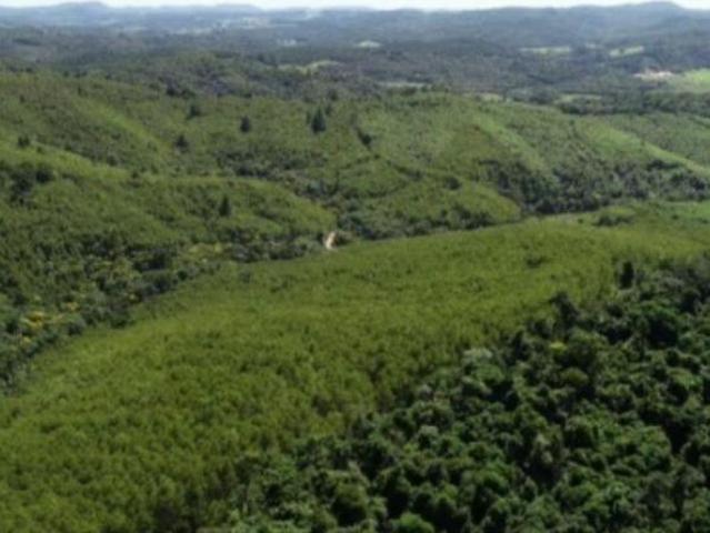 Sítio e chácara venda em Região Imediata de Itapeva, Ribeirão Branco