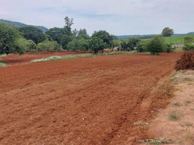 Sítio e chácara venda em Região Imediata de São Carlos, Descalvado
