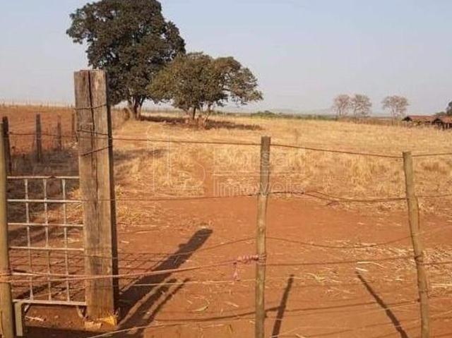 Sítio e chácara venda em Região Imediata de Ribeirão Preto, Região Metropolitana de Ribeirão Preto
