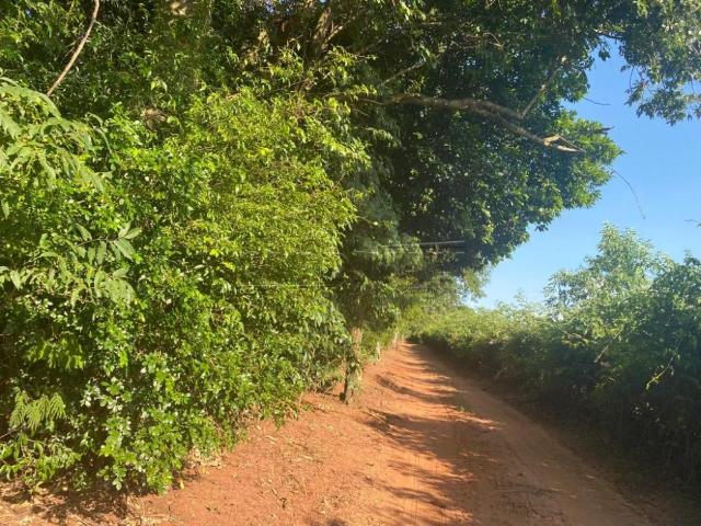 Sítio e chácara venda em Dourado, Região Geográfica Intermediária de Araraquara