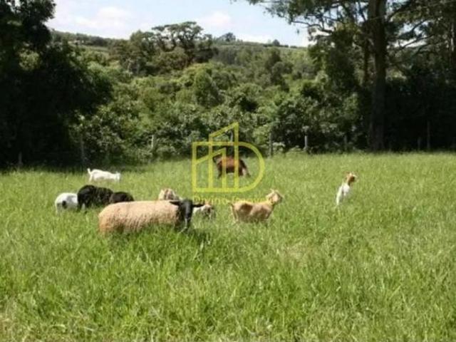 Sítio e chácara venda em Jardim Montenegro, Piedade