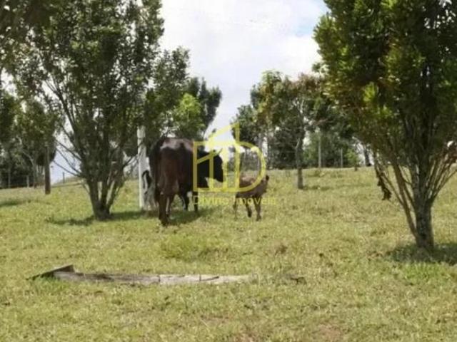 Sítio e chácara venda em Região Imediata de Sorocaba, Região Metropolitana de Sorocaba