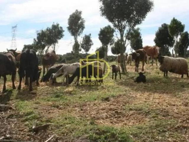 Sítio e chácara venda em Região Imediata de Sorocaba, Região Metropolitana de Sorocaba