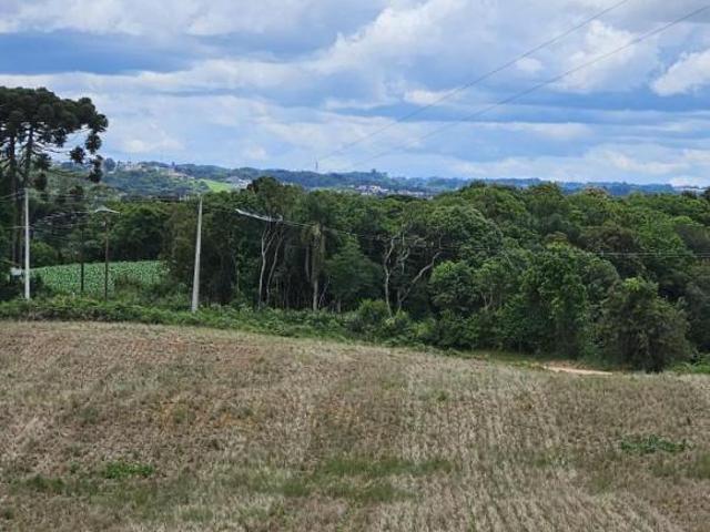 Sítio e chácara venda em Região Geográfica Imediata de Curitiba, Região Metropolitana de Curitiba